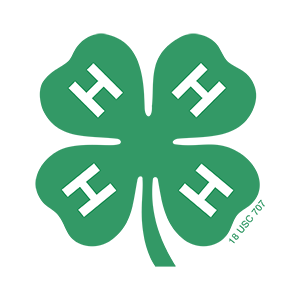 4H