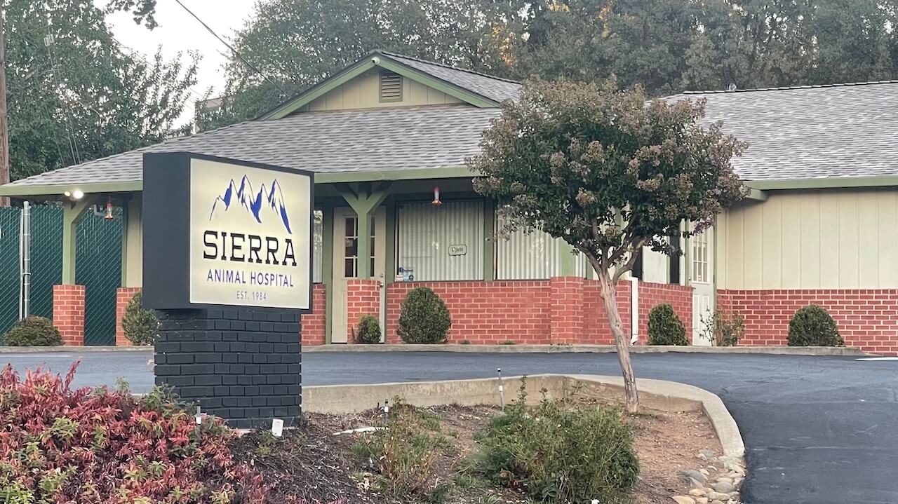 Veterinarian in Placerville, CA