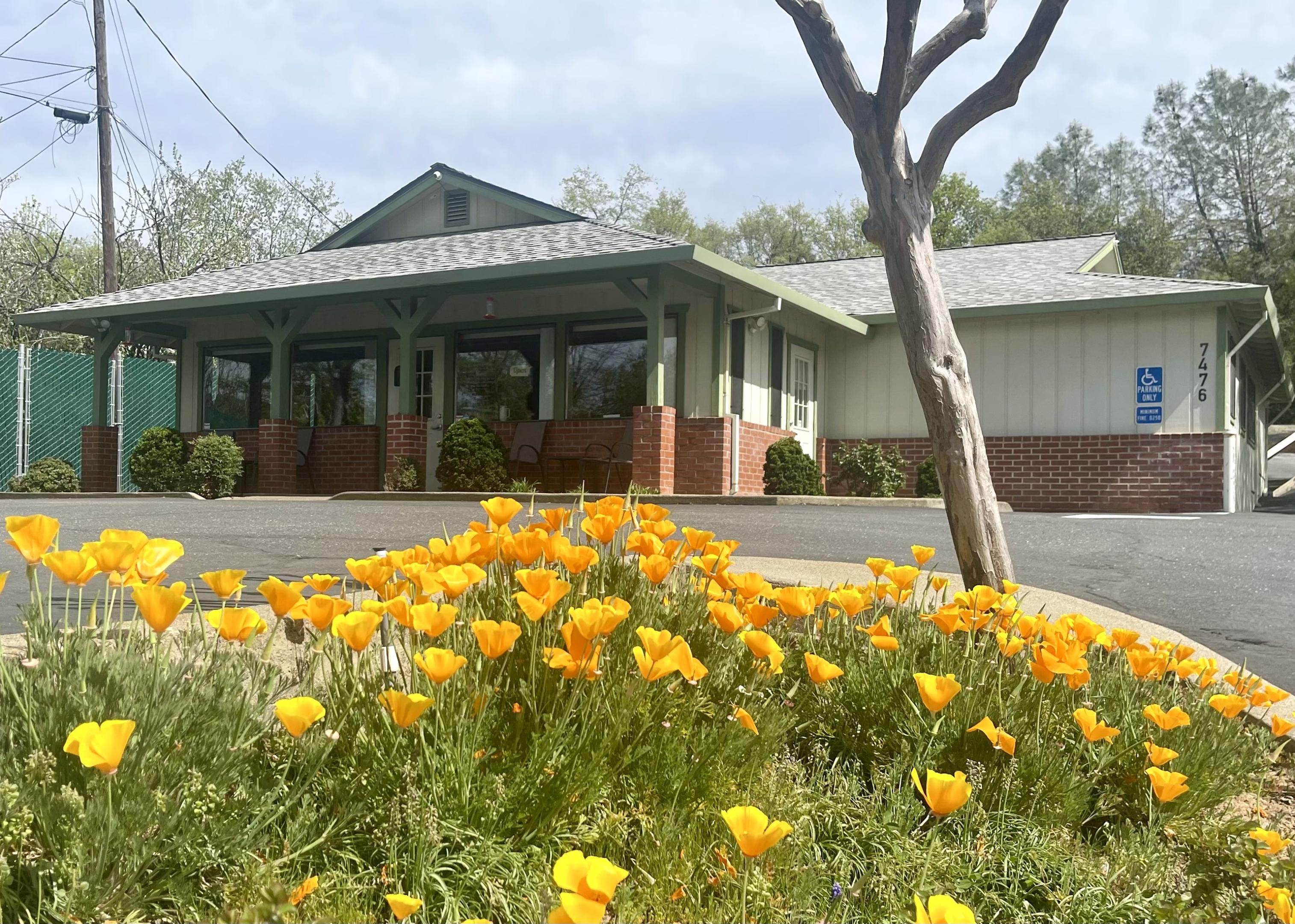Veterinarian in Placerville, CA