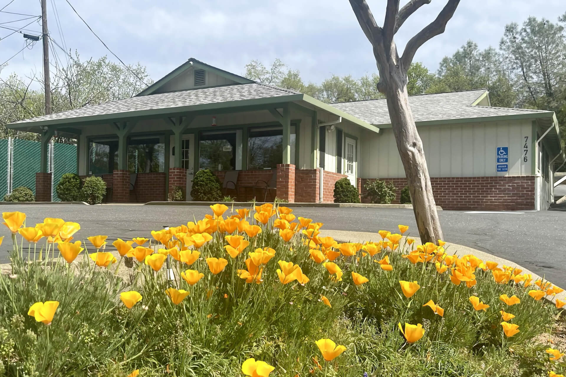 Veterinarian in Placerville, CA
