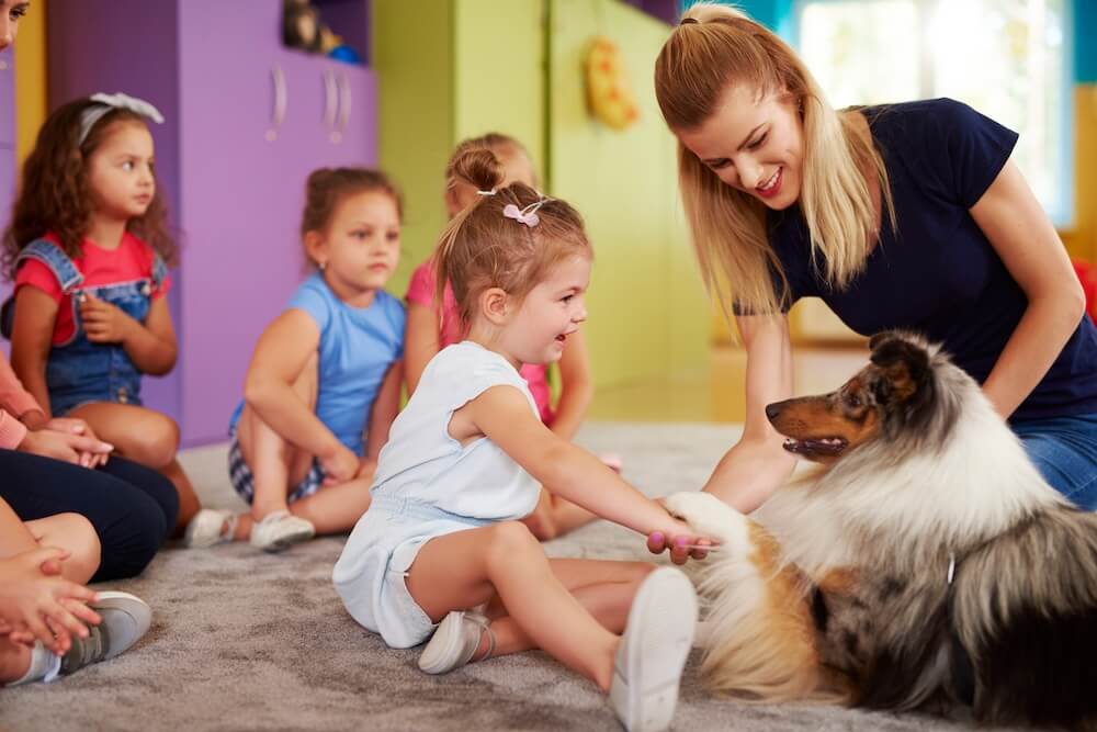 Sierra Animal Hospital Placerville, CA pet safety with kids