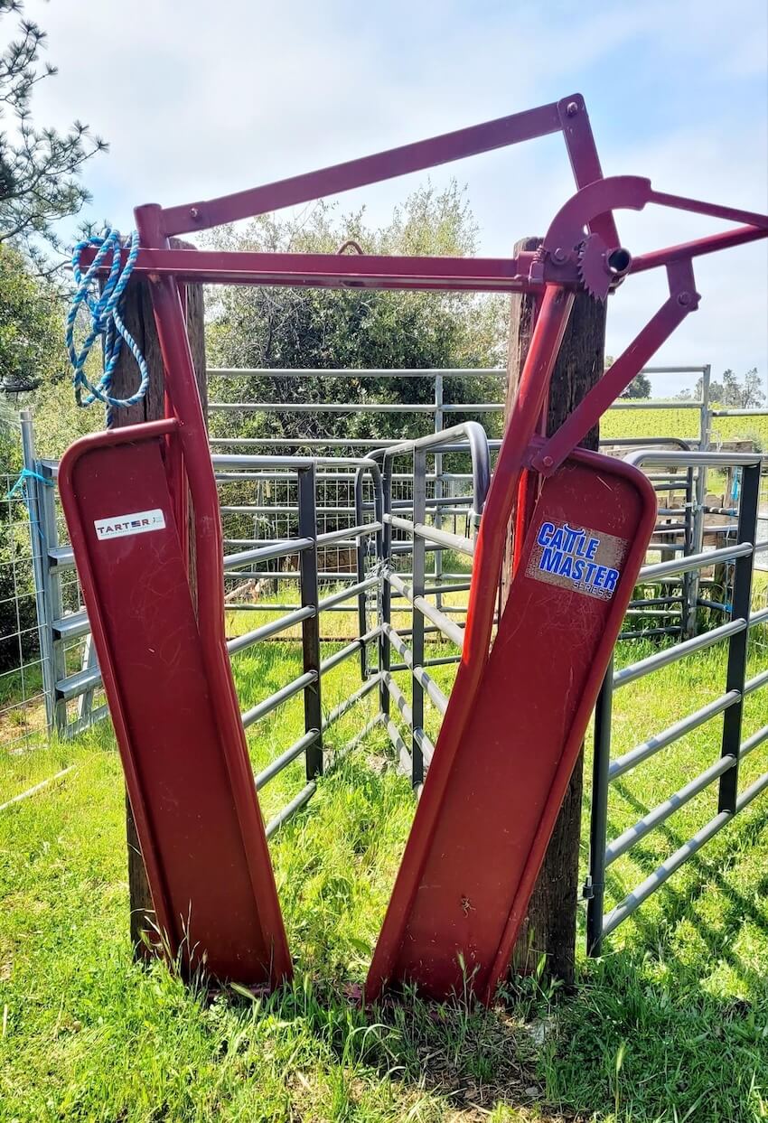 Head gate