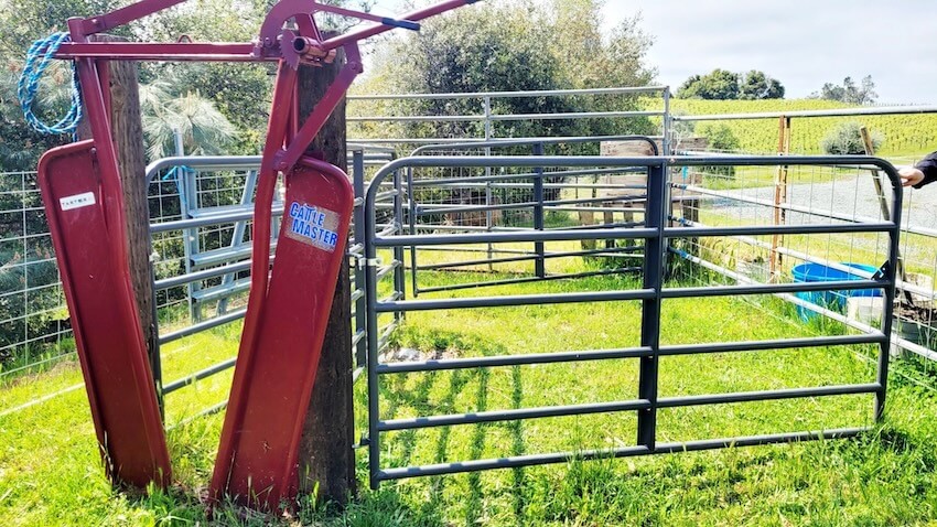 head gate image 