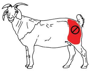 not a good injection site for goats