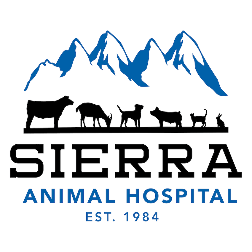 Sierra Animal Hospital